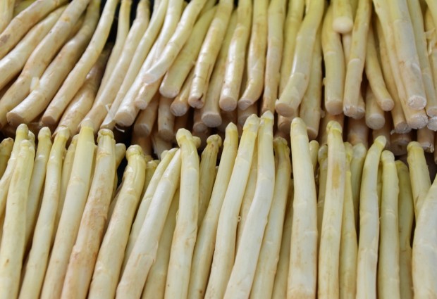 asperges-restaurant-ootmarsum-twente-overijssel
